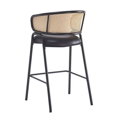 Ethan Indoor Metal Upholstered Barstool Set of 2 with Faux Leather & Rattan - Multi