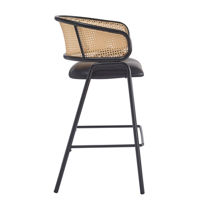 Ethan Indoor Metal Upholstered Barstool Set of 2 with Faux Leather & Rattan - Multi
