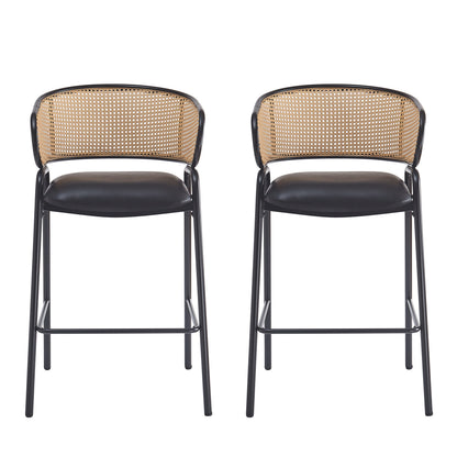 Ethan Indoor Metal Upholstered Barstool Set of 2 with Faux Leather & Rattan - Multi