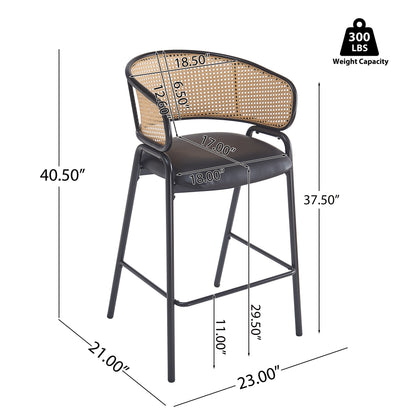 Ethan Indoor Metal Upholstered Barstool Set of 2 with Faux Leather & Rattan - Multi