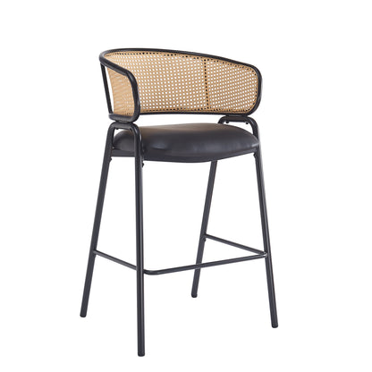 Ethan Indoor Metal Upholstered Barstool Set of 2 with Faux Leather & Rattan - Multi