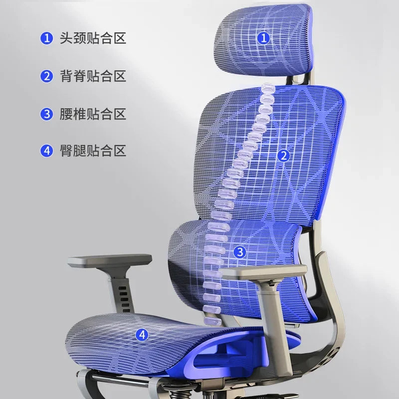 Ergonomic chair Home computer chair Comfortable sedentary office chair Back seat Study desk E-sports study chair