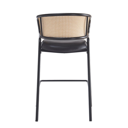 Ethan Indoor Metal Upholstered Barstool Set of 2 with Faux Leather & Rattan - Multi