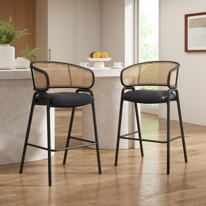 Ethan Indoor Metal Upholstered Barstool Set of 2 with Faux Leather & Rattan - Multi